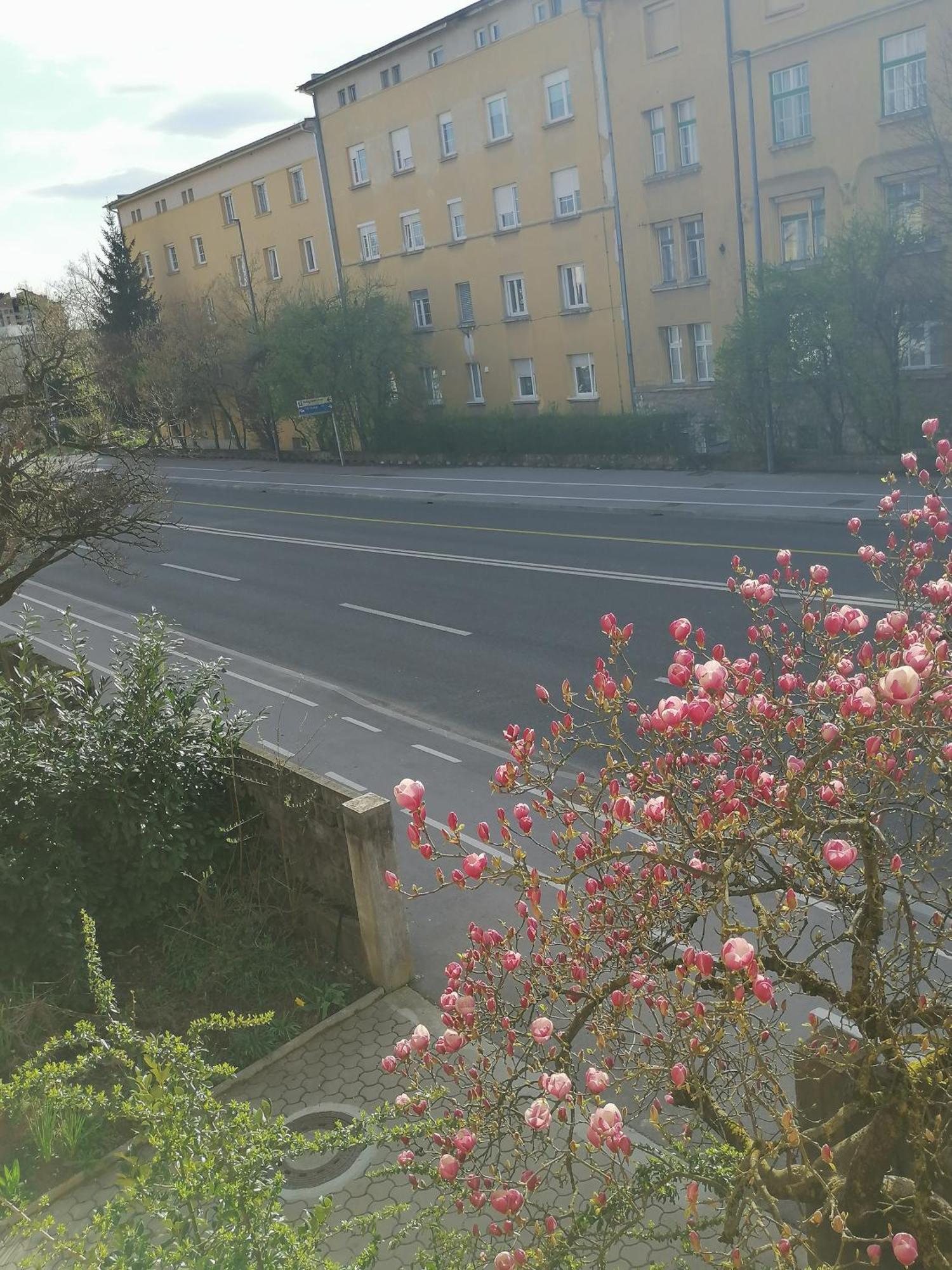 Pirc Apartment On Dunajska Street ลูบลิยานา ภายนอก รูปภาพ
